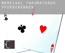 Marechal Thaumaturgo Pferderennen
