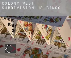 Colony West Subdivision - Numbers 13, 14 and 15 Bingo