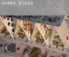 Gambo  Bingo