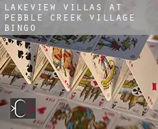 Lakeview Villas at Pebble Creek Village  Bingo