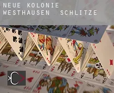 Neue Kolonie Westhausen  Schlitze