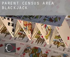 Parent (census area)  Blackjack
