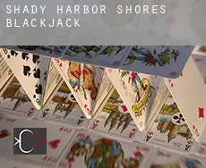 Shady Harbor Shores  Blackjack