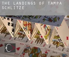 The Landings of Tampa  Schlitze
