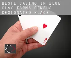 Beste Casino in  Blue Clay Farms