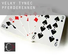 Velký Týnec Pferderennen