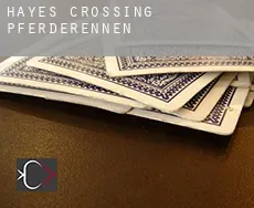Hayes Crossing  Pferderennen
