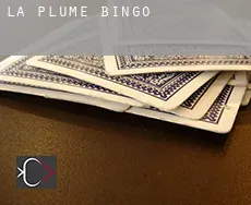 La Plume  Bingo