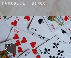 Paradise  Bingo