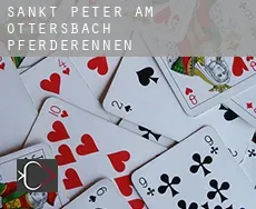 Sankt Peter am Ottersbach  Pferderennen