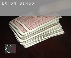 Exton  Bingo