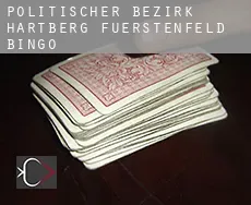 Politischer Bezirk Hartberg-Fuerstenfeld  Bingo