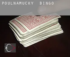 Poulnamucky  Bingo