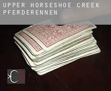 Upper Horseshoe Creek  Pferderennen