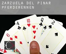 Zarzuela del Pinar Pferderennen