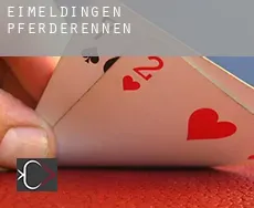 Eimeldingen  Pferderennen