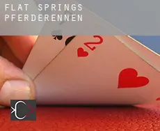 Flat Springs  Pferderennen