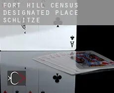 Fort Hill Census Designated Place  Schlitze