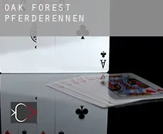 Oak Forest  Pferderennen