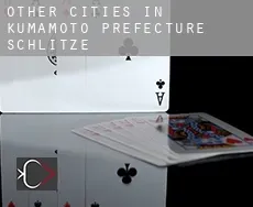 Other Cities in Kumamoto Prefecture  Schlitze