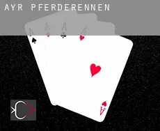 Ayr  Pferderennen