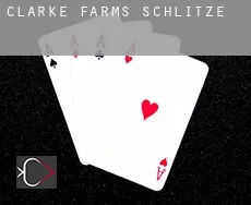 Clarke Farms  Schlitze