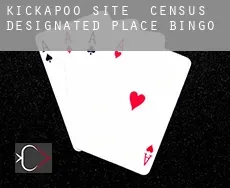 Kickapoo Site 5 Bingo
