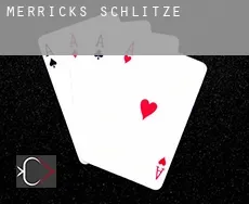 Merricks  Schlitze