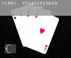 Terry Pferderennen