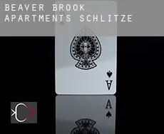Beaver Brook Apartments  Schlitze