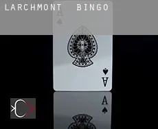 Larchmont  Bingo