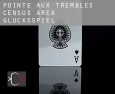 Pointe-aux-Trembles (census area)  Glücksspiel