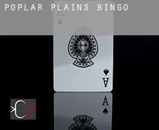 Poplar Plains  Bingo