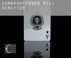 Sunnaghconnor Mill  Schlitze