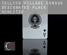 Tellico Village  Schlitze