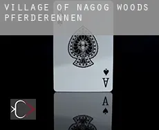Village of Nagog Woods  Pferderennen