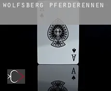 Politischer Bezirk Wolfsberg  Pferderennen
