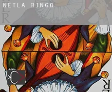 Netla  Bingo