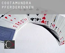 Cootamundra  Pferderennen