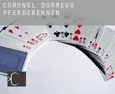 Partido de Coronel Dorrego  Pferderennen