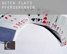Dutch Flats  Pferderennen