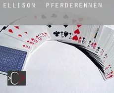 Ellison Pferderennen