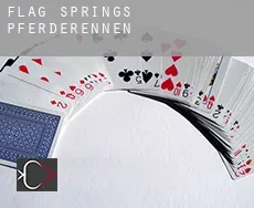 Flag Springs Pferderennen