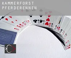 Kammerforst  Pferderennen