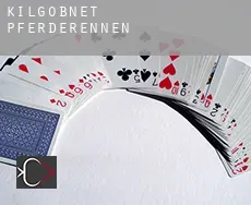 Kilgobnet Pferderennen