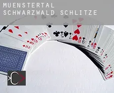 Münstertal/Schwarzwald  Schlitze