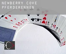 Newberry Cove  Pferderennen