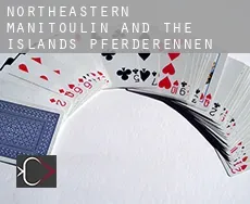 Northeastern Manitoulin and the Islands  Pferderennen