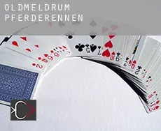 Oldmeldrum  Pferderennen