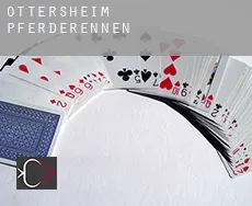 Ottersheim  Pferderennen